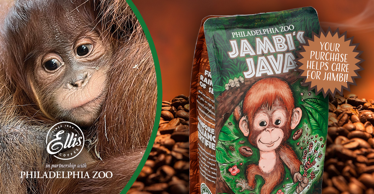 Wildly Good Coffee! Ellis Coffee & Philadelphia Zoo Partner for